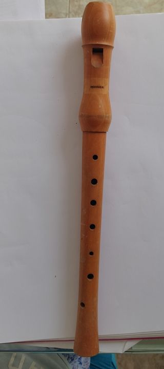 FLAUTA DULCE HOHNER