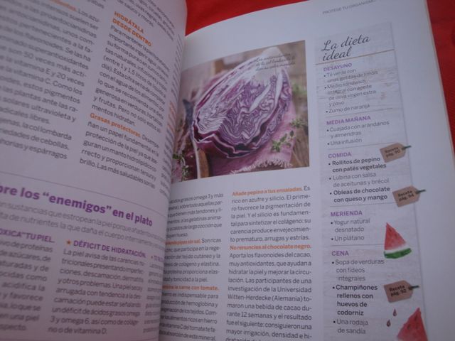 Dos libros sobre ensaladas y cocina sana