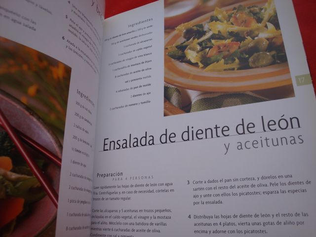 Dos libros sobre ensaladas y cocina sana