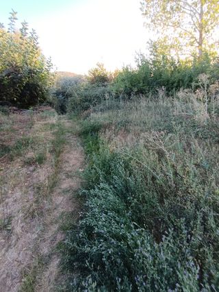 LIMPIEZA DESBROCES JARDINES