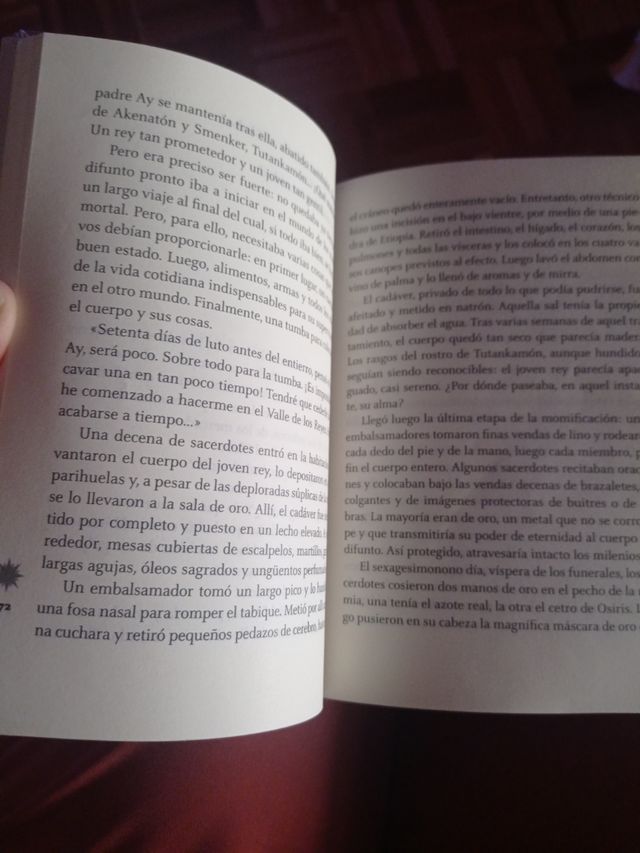 Libro Bajo La Arena de Egipto