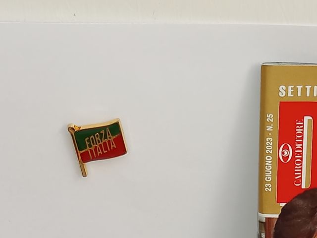 LIBRI E RIVISTE SU SIVLIO BERLUSCONI