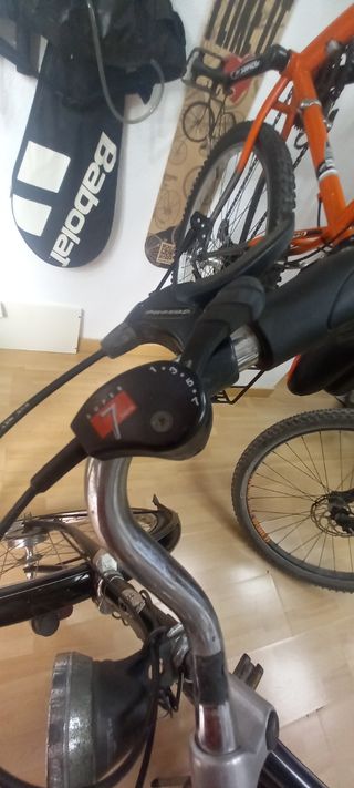 Bicicleta vintage Holanda