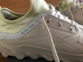 Tenis Ecco