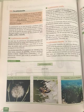 Biología y geología 1 bachillerato