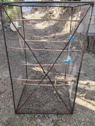 Jaula grande