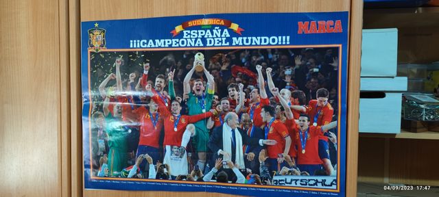 Póster España 2010