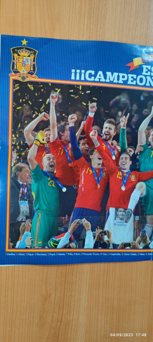 Póster España 2010