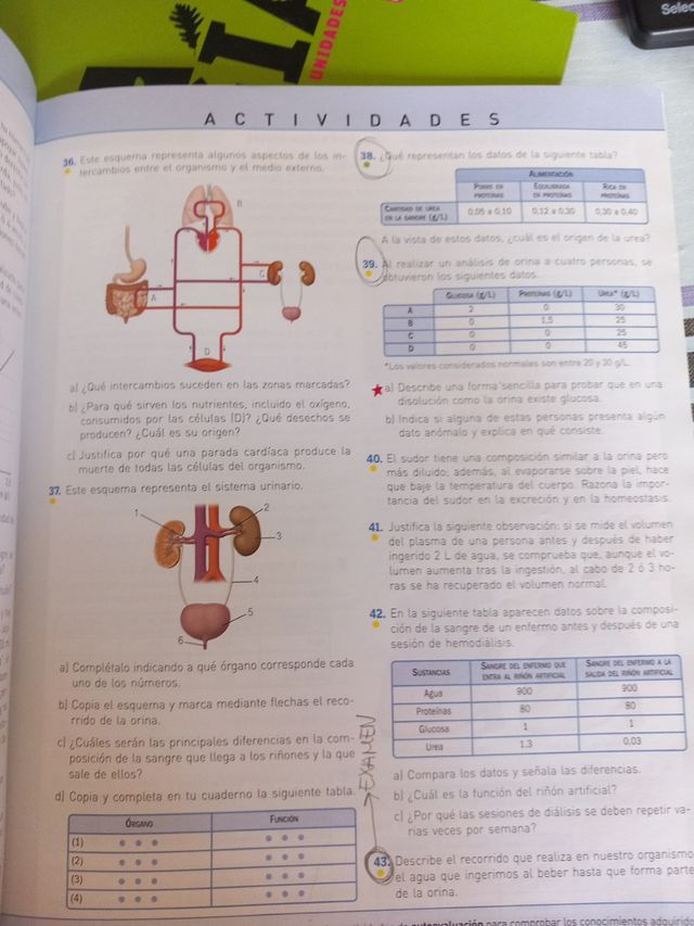 Biologia y geologia 3 eso sm