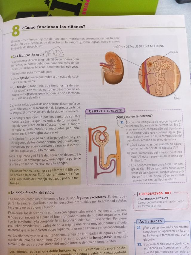 Biologia y geologia 3 eso sm