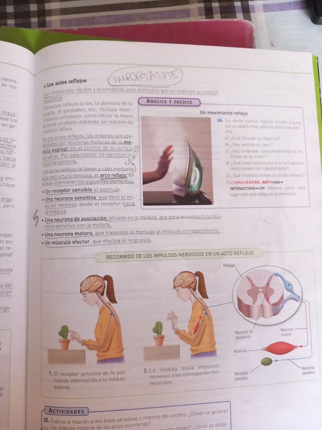 Biologia y geologia 3 eso sm