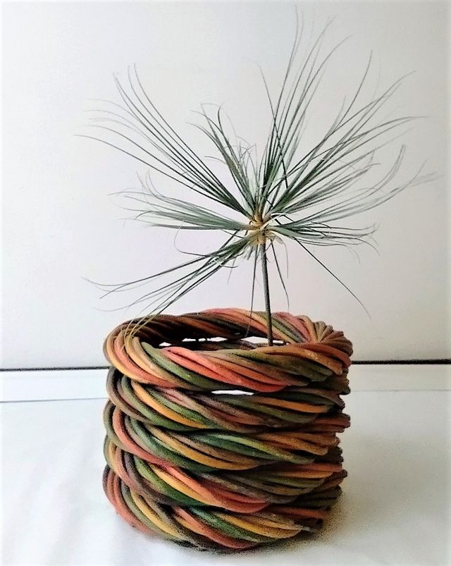Cesto in Giunco-rattan-vimini (Cesta,Panier)