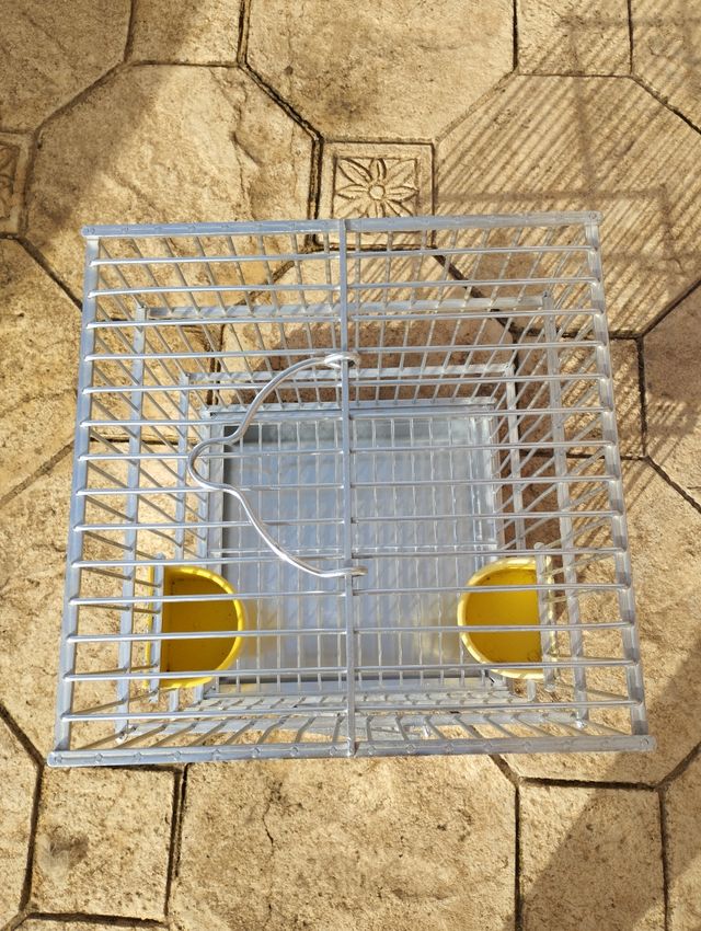 Jaula loro...perico..jilgueros etc