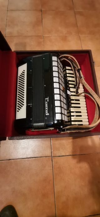 Acordeon parrot