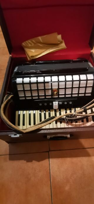 Acordeon parrot