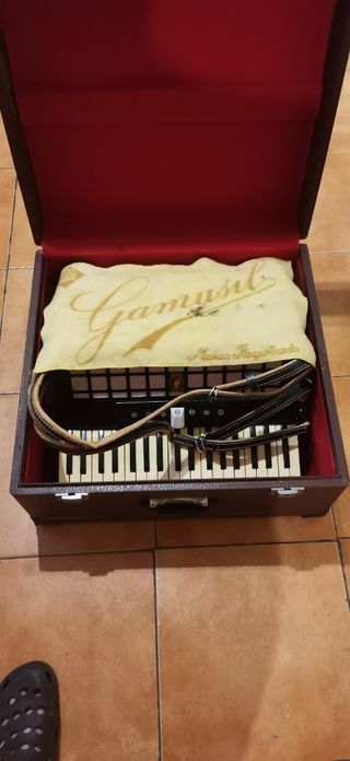 Acordeon parrot