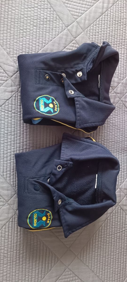 Sudaderas Colegio Alkor (Talla 2)