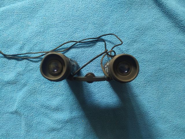 PRISMATICOS - 10X25 BINOCULARES