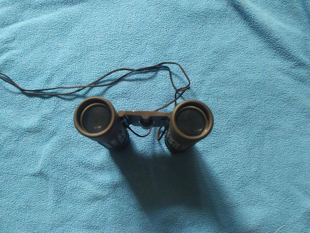 PRISMATICOS - 10X25 BINOCULARES