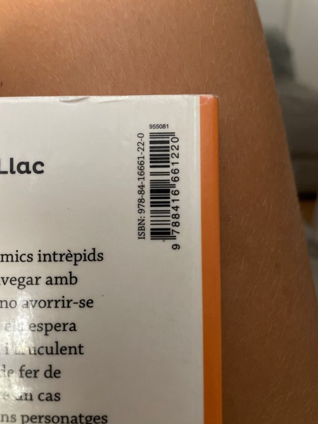 Dark i els pirates del llac