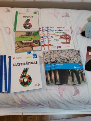 Libros texto 6 primaria