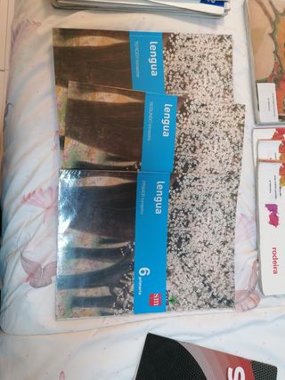 Libros texto 6 primaria