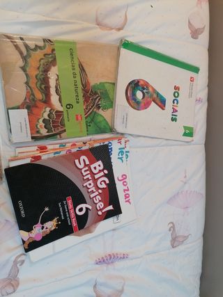 Libros texto 6 primaria