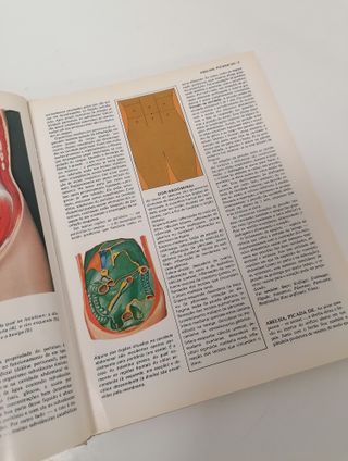 Coleção Livros Grande Enciclopédia Médica Completa