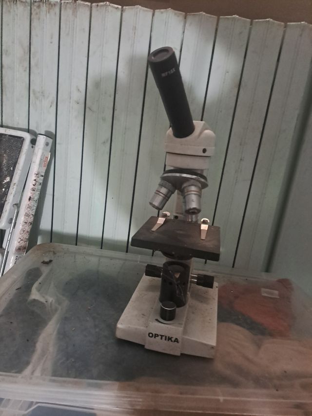 Microscopico òptica