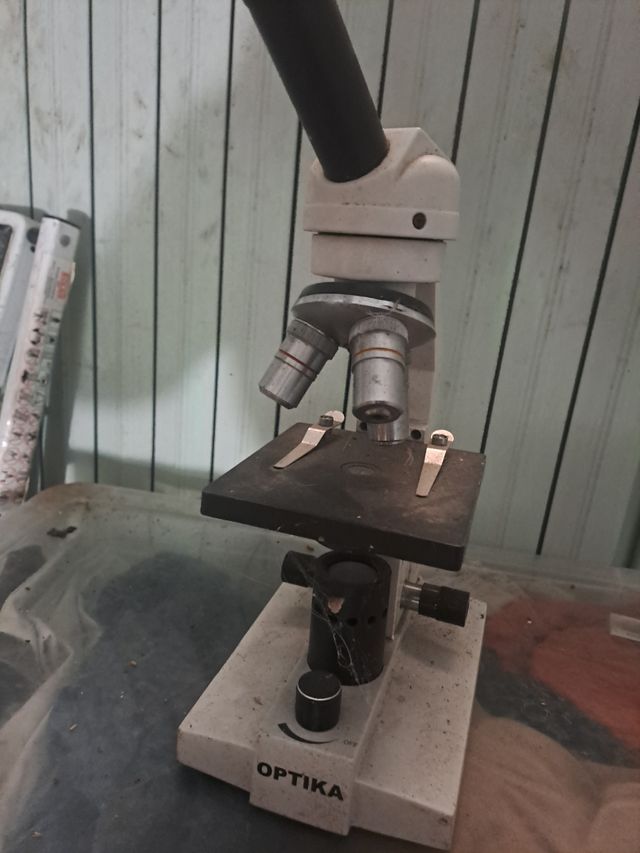 Microscopico òptica