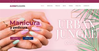 Diseñador de páginas web y tiendas online
