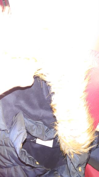 Parka chica azul marino Bass10 talla 16