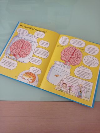 El cos "La casa de l'àlex"