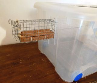 HABITAT JAULA ARTESANAL PARA HAMSTER