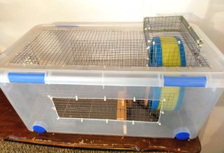 HABITAT JAULA ARTESANAL PARA HAMSTER