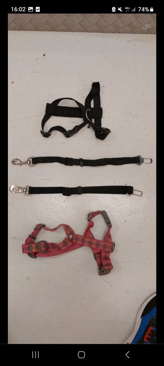 arnes y enganche coche perro