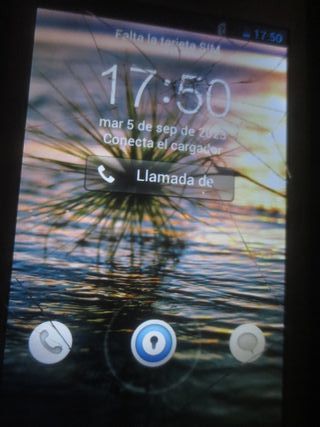 Teléfono móvil Huawei G510 Daytona Orange