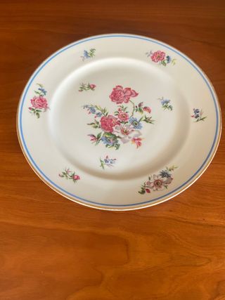 PLATOS PORCELANA FRANCESA LIMOGES