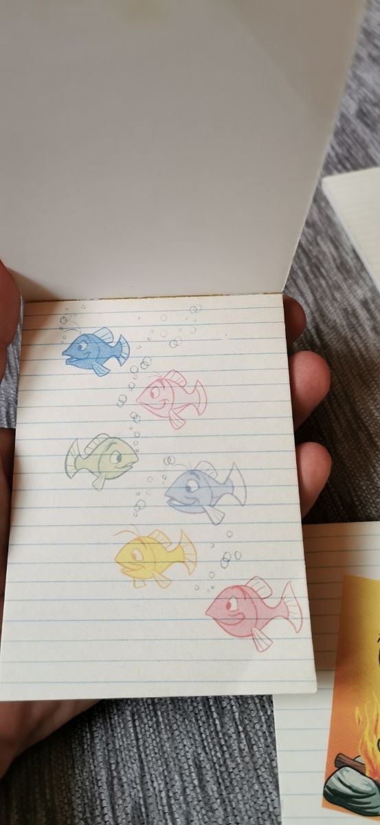 Cuadernos de campo jovenes castores