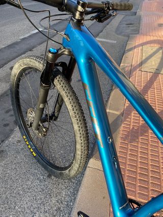 felt carbono 29