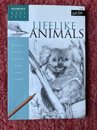 Libro de arte en ingles