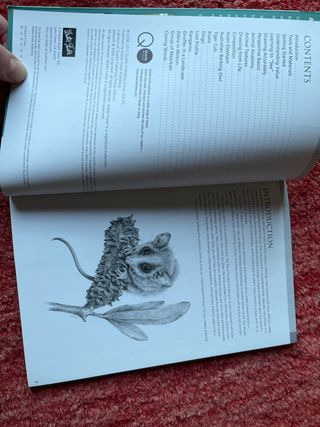 Libro de arte en ingles