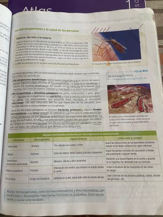 BIOLOGIA Y GEOLOGIA 1ESO