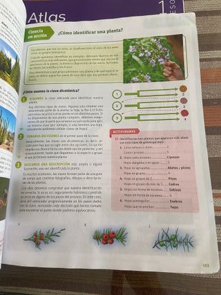 BIOLOGIA Y GEOLOGIA 1ESO