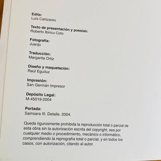 🌟Cañizares Samsara - Libro