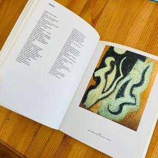 🌟Cañizares Samsara - Libro