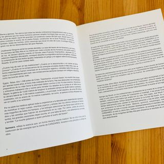 🌟Cañizares Samsara - Libro