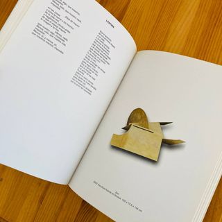 🌟Cañizares Samsara - Libro