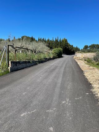300 olivos + de 45 años y casita se puede hacer