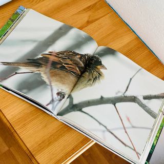 Precioso libro - Aragón, agua y futuro